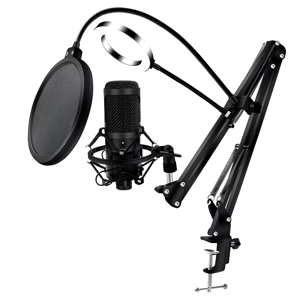 Microphone USB à condensateur D80