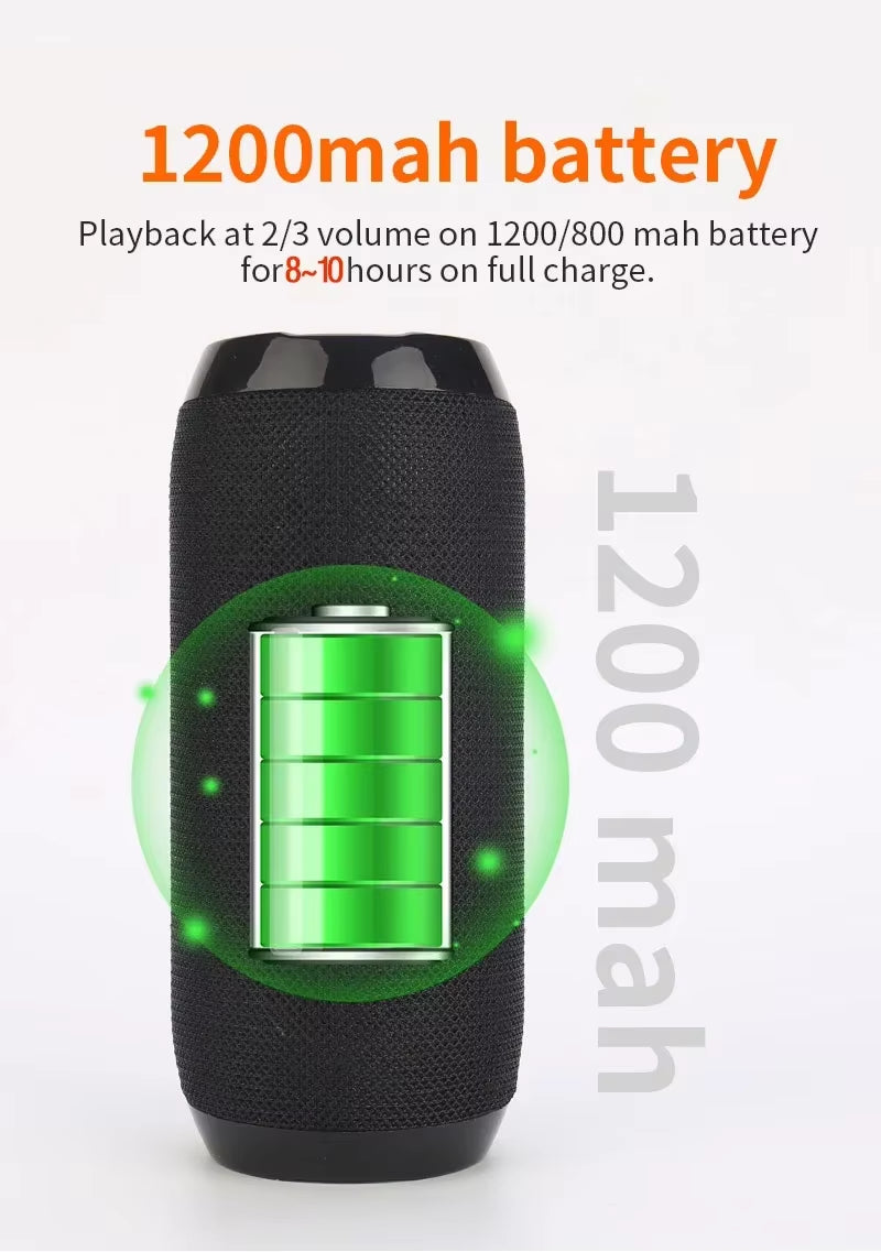 Enceinte Bluetooth Portable1