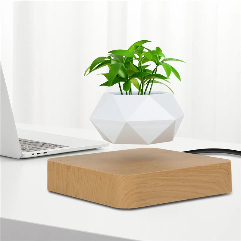 Pot de Bonsaï Flottant Magnétique
