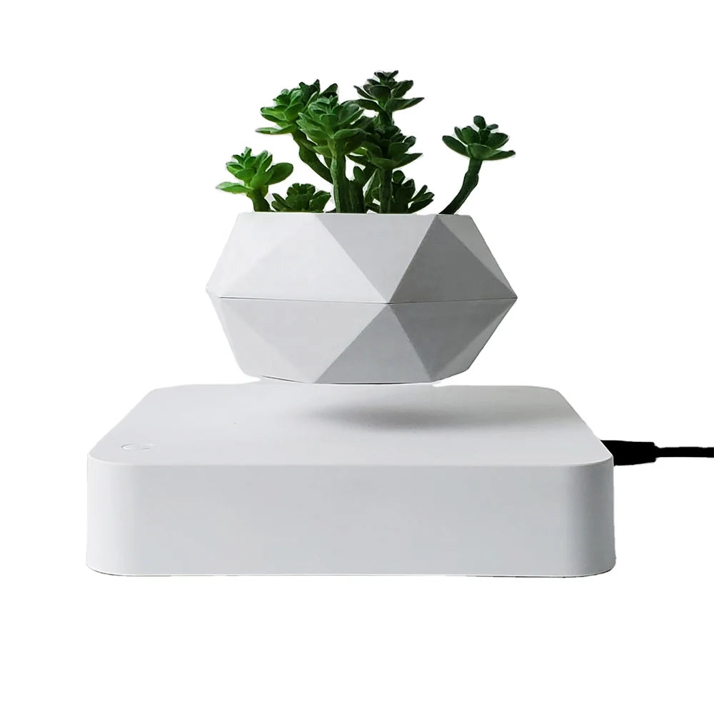 Pot de Bonsaï Flottant Magnétique