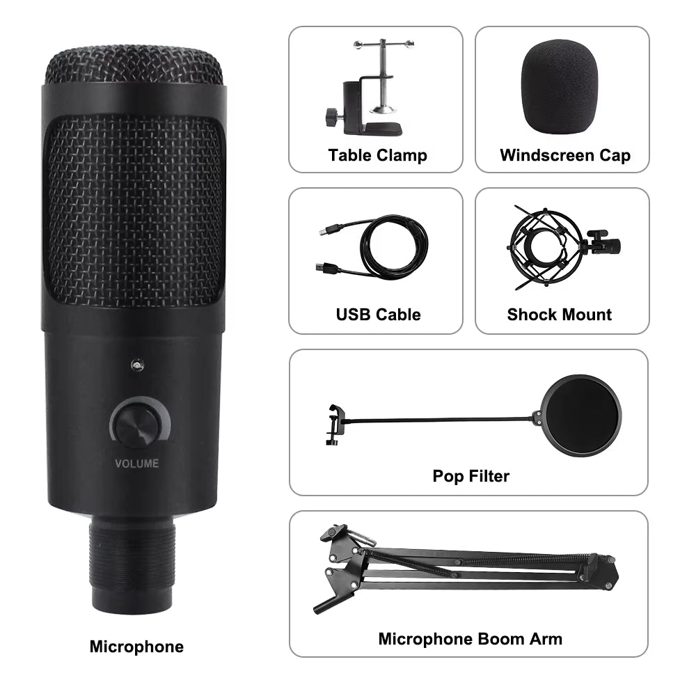Microphone USB à condensateur D80