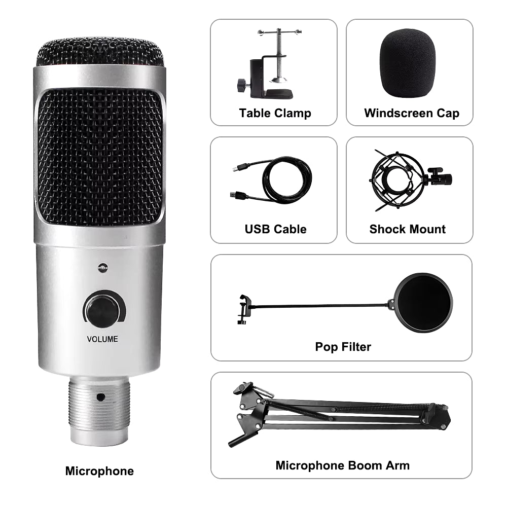 Microphone USB à condensateur D80