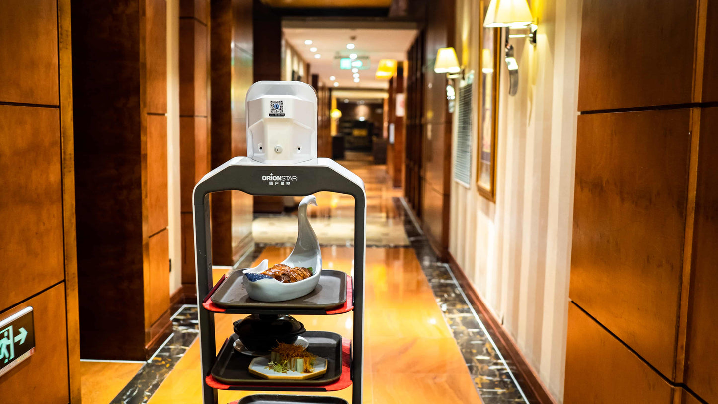 OrionStar LuckiBot Series – Autonomous AI Delivery Robot
