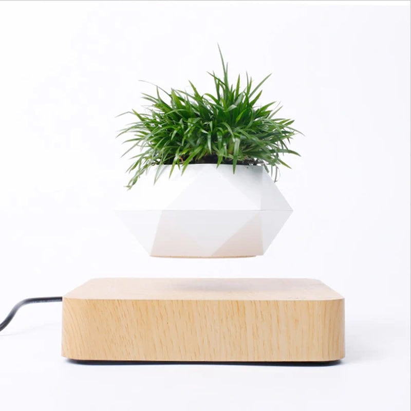 Pot de Bonsaï Flottant Magnétique