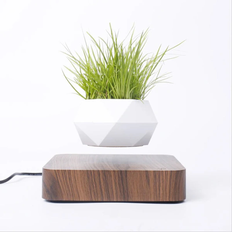 Pot de Bonsaï Flottant Magnétique