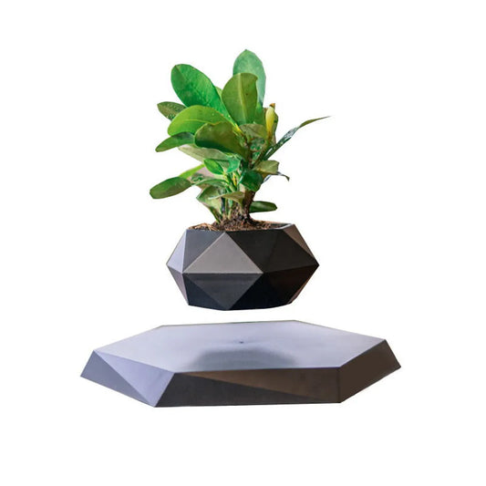 Pot de Bonsaï Flottant Magnétique