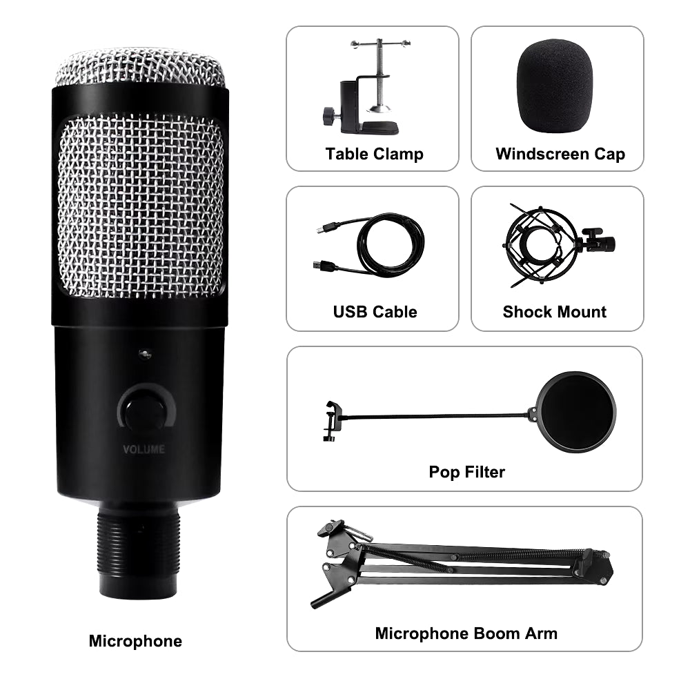 Microphone USB à condensateur D80